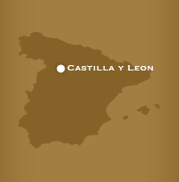 Bodegas Triton